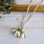 crocus �ں�ȡ�����������atelier embellir�ˡ�