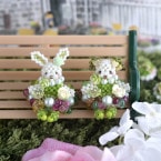 ��5/1 �����١� �����Х��꡼�� 4����������ġ� �ں�ȡ�Lovely����������դ��������
