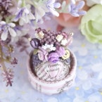 �٥����������ʻ粻���꡼������󥰥ԥ����դ���  �ں�ȡ�Lovely����������դ��������