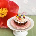 ��4��20��12���ޤǡ�����SALE�� ����ȡ������ե��� �ڥӡ����ޥ˥���