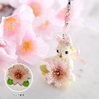 ��������������Υ��㡼��  S-105 �ں�ȡ�Shinon* ���襤���Τ֡�