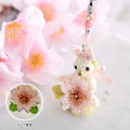 6/6 ١ Υ㡼  S-105 ںȡShinon* 襤Τ֡