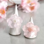 Frozen blossom��ɹ�����ʥ�󥰡� �ں�ȡ����ΤϤ�ߤ��Little��B��.�ˡ�