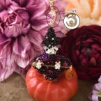 Lovely����� �ں�ȡ�Lovely����������դ��������