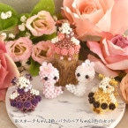 Lovelykaori ʡ�� 2025���٥� �ں�ȡ�Lovely����������դ��������