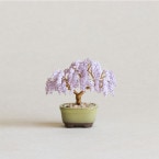 �ӡ����ե����ȥ꡼ �ͥ��å�BONSAI���å� Wisteria ƣ HCA30//4