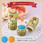 ���եץ쥼����դ����ڥ衼�ƥ��ƥå����Ԥ�ˡ��ɥ륱�������ե������ǥ�� �ں�ȡ��ӡ����ѥե� ���ܷûҡ�