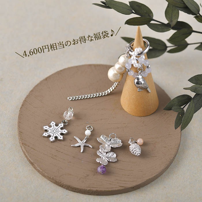 ��1/9 NEW����ʡ�ޡ� ŷ���ФȾ�Ļ�Υ��㡼�ࡦ�֥롼���륻�ɥˡ�  �ں�ȡ���������ҡ�angelica�ˡ�