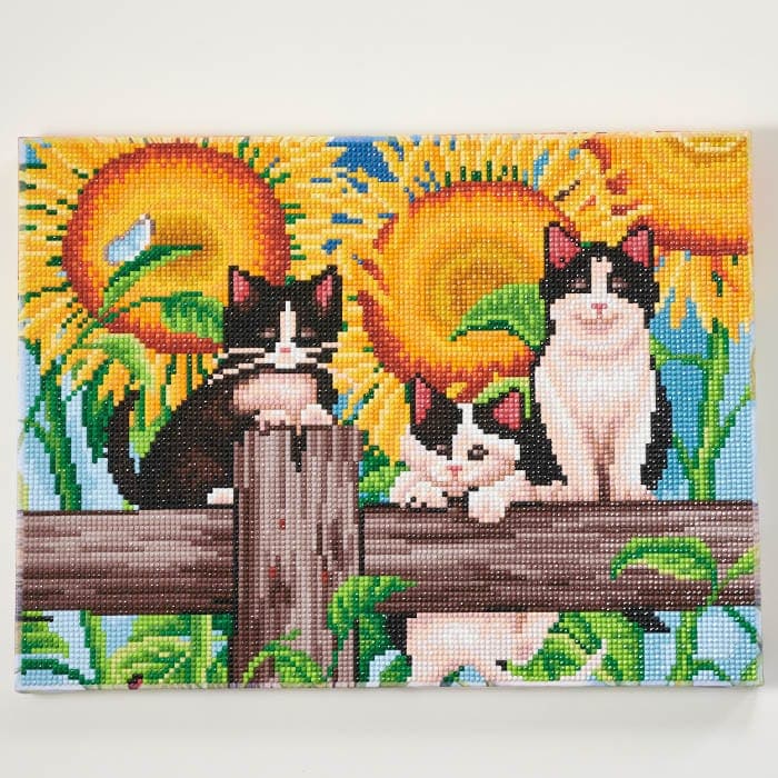 1_000000007907.jpg?1678209903