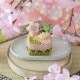 �ӡ������Ԥߤ���ߡ����åȥ�������No3. ���� �ڥӡ����ޥ˥���