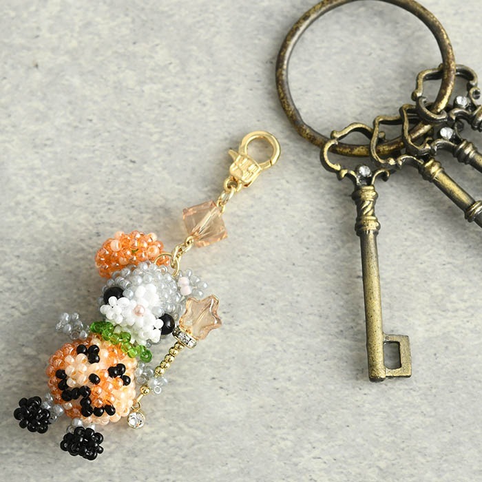 �ѥ�ץ��󥭥ƥ�  �ں�ȡ�arco iris ��� ������