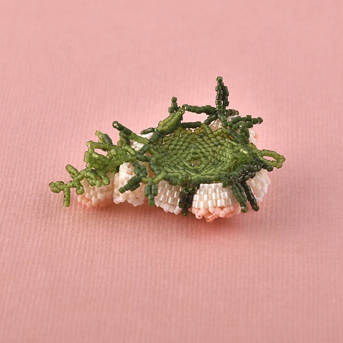 ��12/17 �����١� ���㥹�����ɥ֡������Х�� �ڥӡ����ޥ˥���