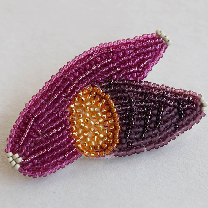 ӡեȥ꡼ Ϥڤ֥åȡ䤭 HCA20//5