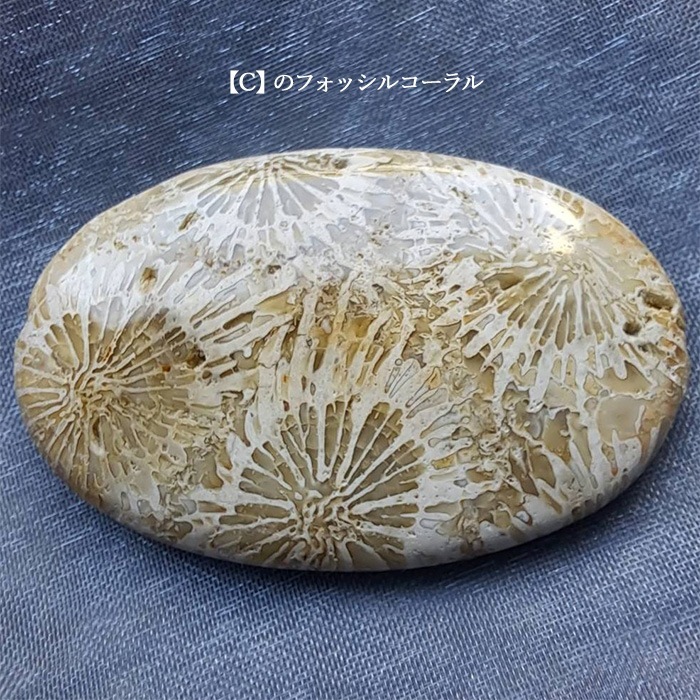 �ե��å��륳�����ȥ�С����ȡ���Υͥå��쥹C �ں�ȡ��ν�ʥ���ԥ�ѥ��ˡ�