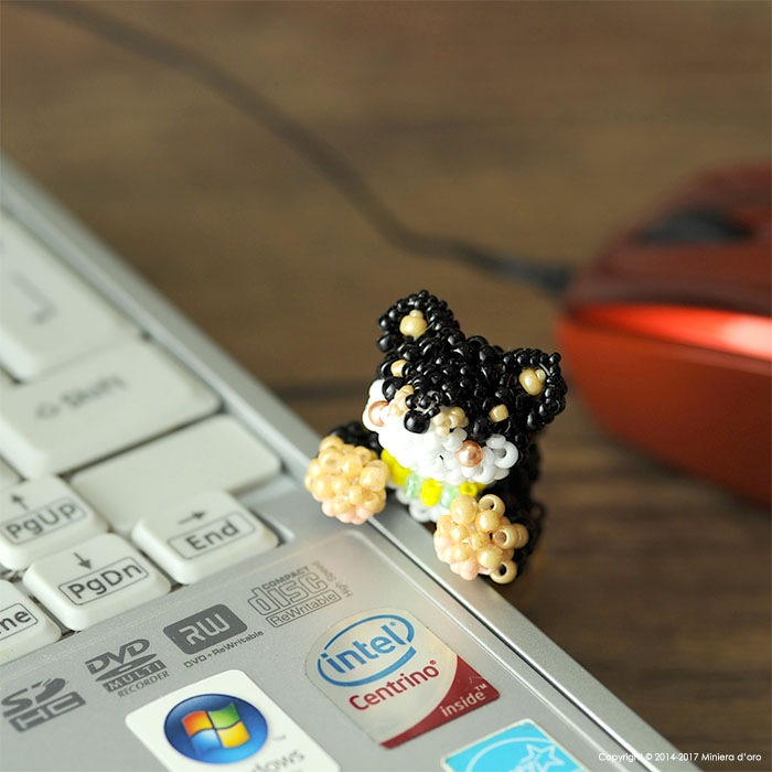 9/29 ١ ޤä긤ƦƹǷ  ںȡMiniera doro