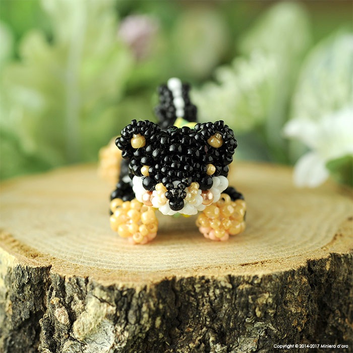 9/29 ١ ޤä긤ƦƹǷ  ںȡMiniera doro