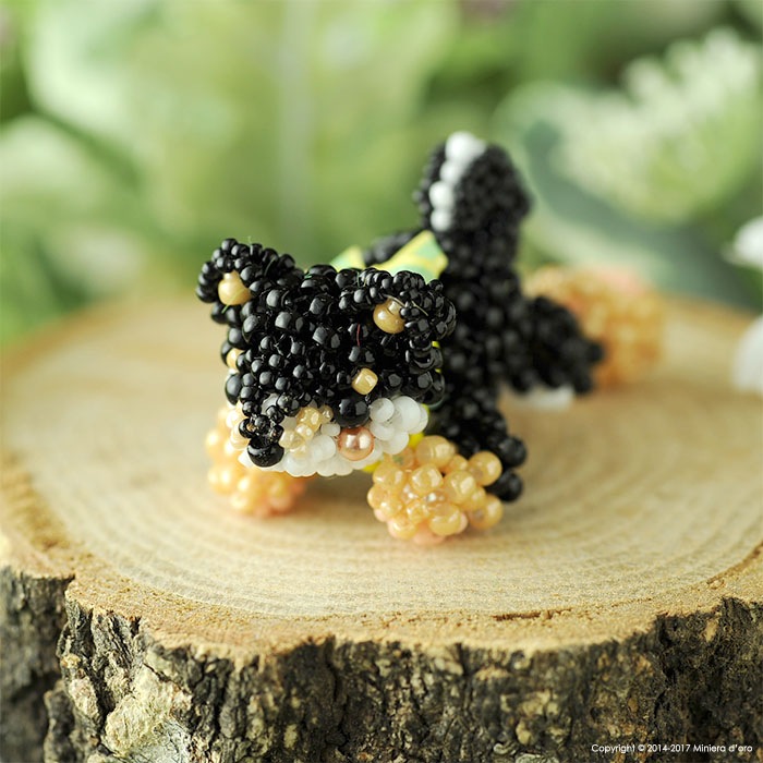 9/29 ١ ޤä긤ƦƹǷ  ںȡMiniera doro