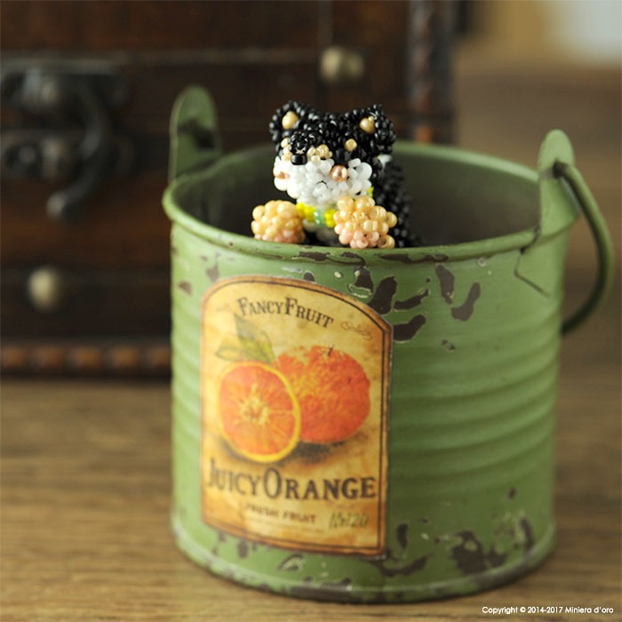 9/29 ١ ޤä긤ƦƹǷ  ںȡMiniera doro