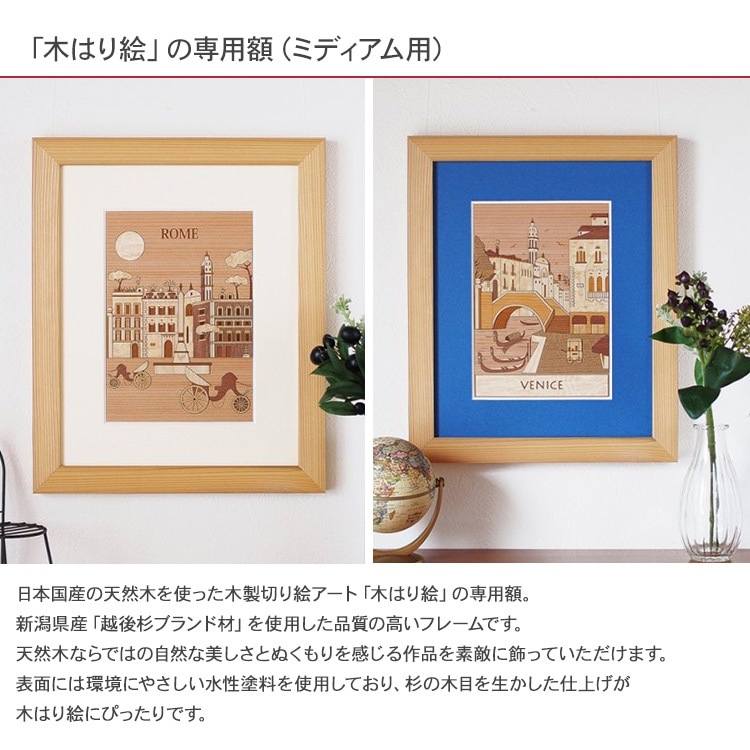 �ڤϤ골���å����� ŷ�����γۡʥߥǥ������ѡ�  FZZ-101