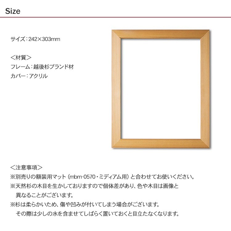 �ڤϤ골���å����� ŷ�����γۡʥߥǥ������ѡ�  FZZ-101