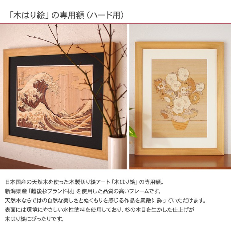 �ڤϤ골���å����� ŷ�����γۡʥϡ����ѡ�  FZZ-201