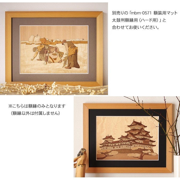 �ڤϤ골���å����� ŷ�����γۡʥϡ����ѡ�  FZZ-201