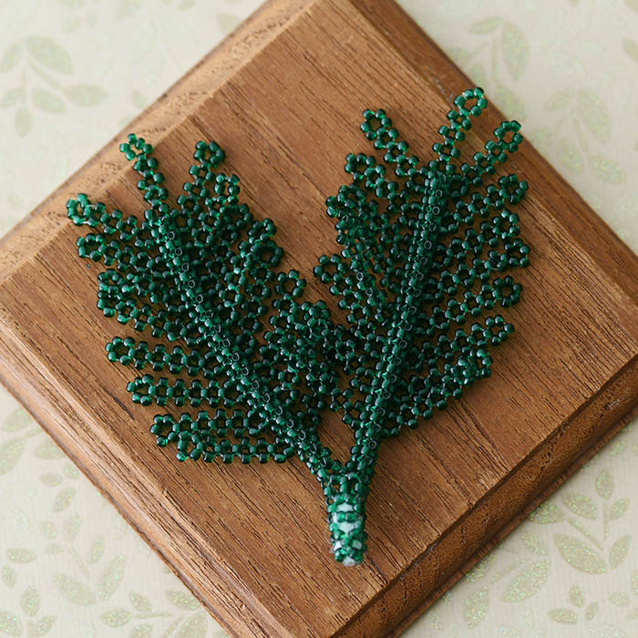 8/27 ١ ӡå8Ҥޤ  ڥӡޥ˥