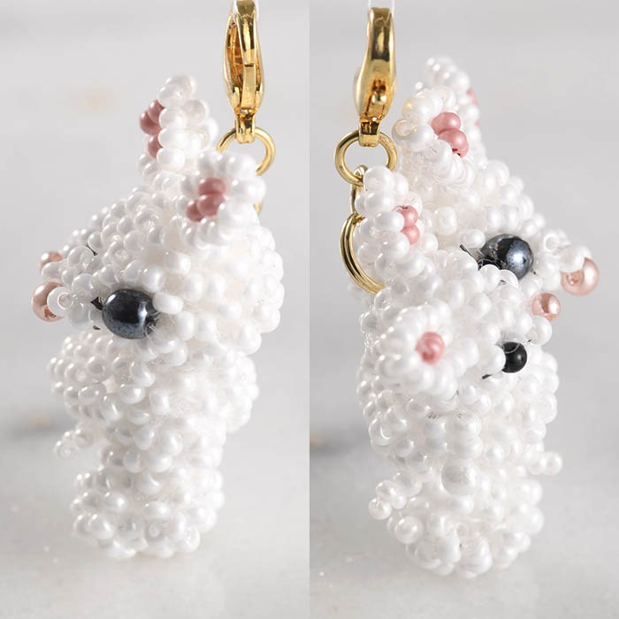 ʤ褷ƻҤΤ  ںȡarco iris  