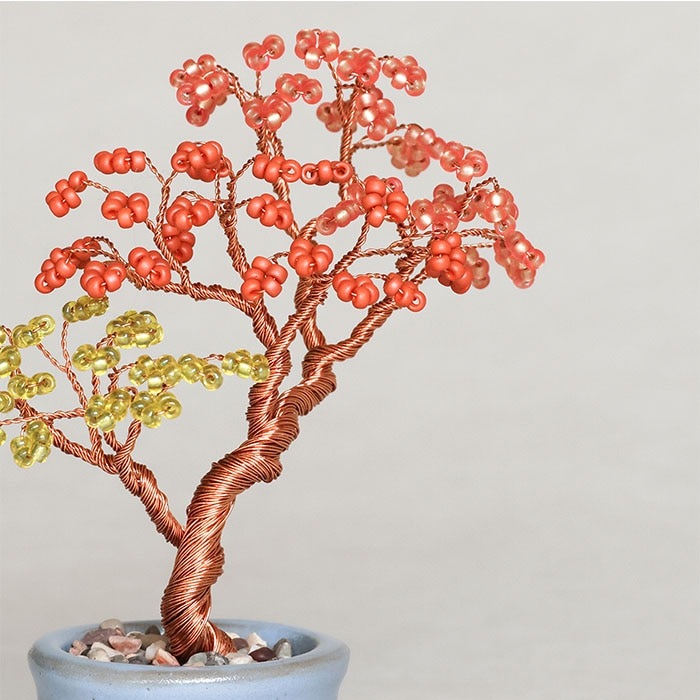 �ӡ����ե����ȥ꡼ �ͥ��å�BONSAI���å� Maple ���� HCA30//5