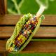 Corn�ʥȥ���������˥֥��������ߥå��� �ں�ȡ���͵�ҡ�Atelier��Siva�ˡ�