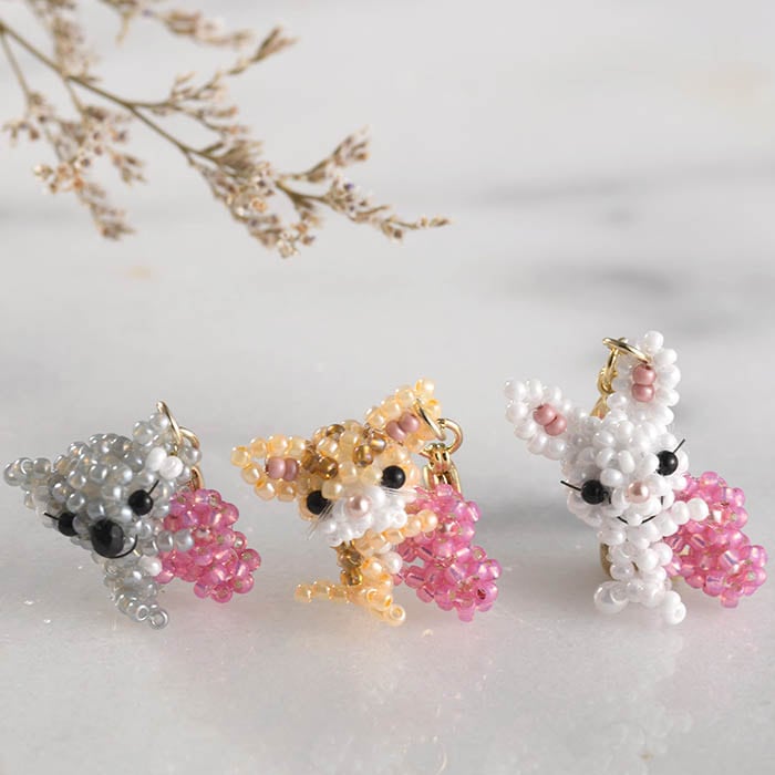 ϡĤ顦ͤ  ںȡarco iris  