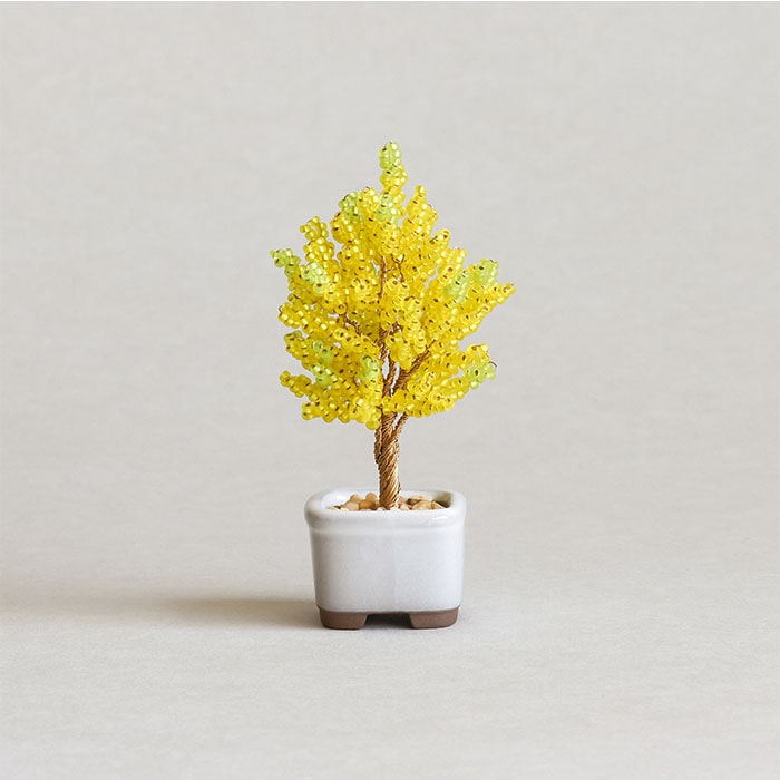 �ӡ����ե����ȥ꡼ �ͥ��å�BONSAI���å� Gingko ��� HCA30//6