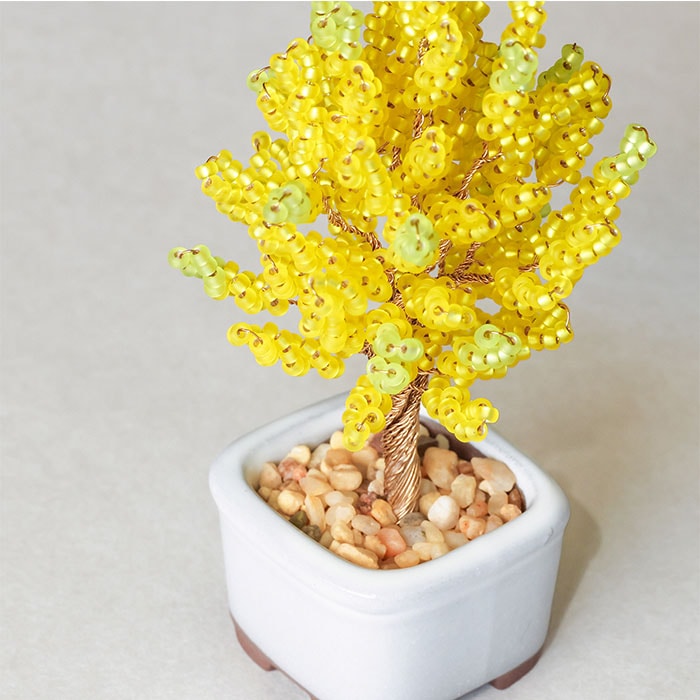 �ӡ����ե����ȥ꡼ �ͥ��å�BONSAI���å� Gingko ��� HCA30//6