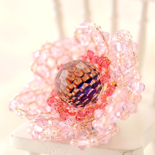 ��12/4 �����١� ���ͥ�ͤΥ֥����� �������  �ں�ȡ����ФΤ֤��