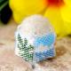 Hawaiian pincushion ںȡΤϤߤLittleB.ˡ