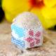 Hawaiian pincushion ںȡΤϤߤLittleB.ˡ