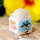 Hawaiian pincushion ںȡΤϤߤLittleB.ˡ