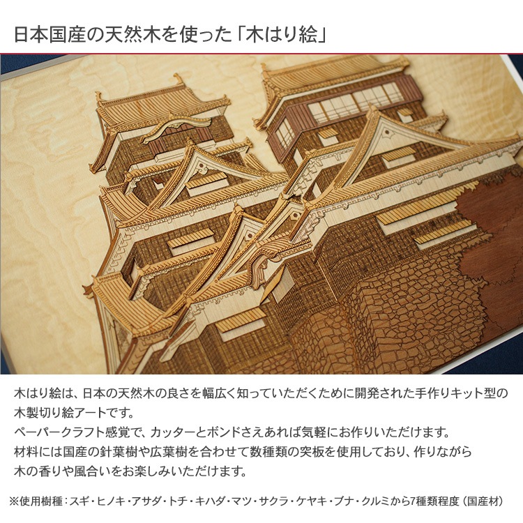 ڤϤ골ꥭåȡַܾ  KCH-002