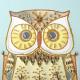 �ӡ����ե����ȥ꡼ ��Beads Decor���ﵯʪ���դ����� ���ۤ������  BHD-131