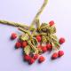cherry necklaceʥåɡ  ںȡatelier embellirˡ