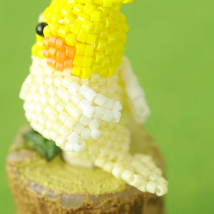 6/6 ١ HappyBirdȥåסʥᥤ󥳡  S-64 ںȡShinon*  襤Τ֡