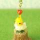 6/6 ١ HappyBirdȥåסʥᥤ󥳡  S-64 ںȡShinon*  襤Τ֡