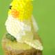 6/6 ١ HappyBirdȥåסʥᥤ󥳡  S-64 ںȡShinon*  襤Τ֡