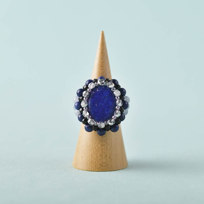 ��2/19 NEW�� ��ԥ��饺�ꥪ���Х���  �ں�ȡ���¼ƻ�ҡʥץ������󥹡ˡ�