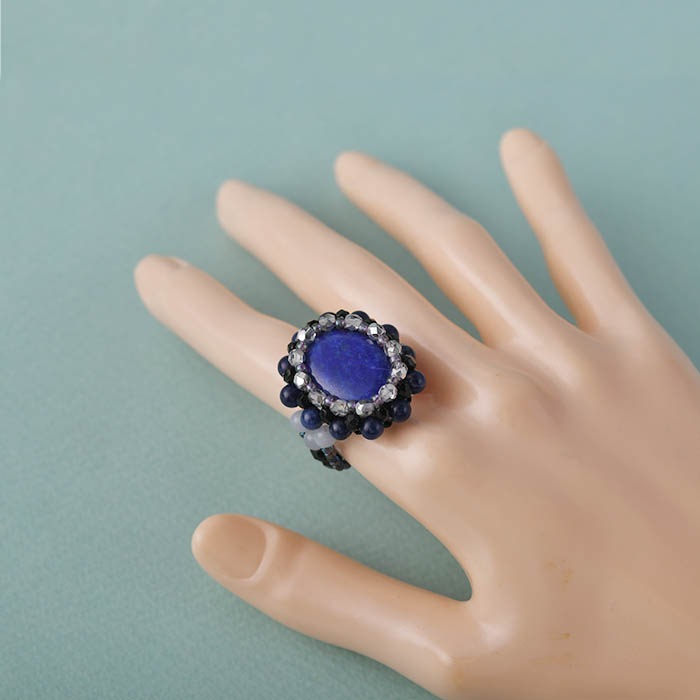 ��2/19 NEW�� ��ԥ��饺�ꥪ���Х���  �ں�ȡ���¼ƻ�ҡʥץ������󥹡ˡ�