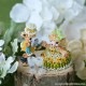 �ѡ��ƥ����ƥǥ��٥����åȡ�Rosie��Jasper��  �ں�ȡ�Miniera d��oro��