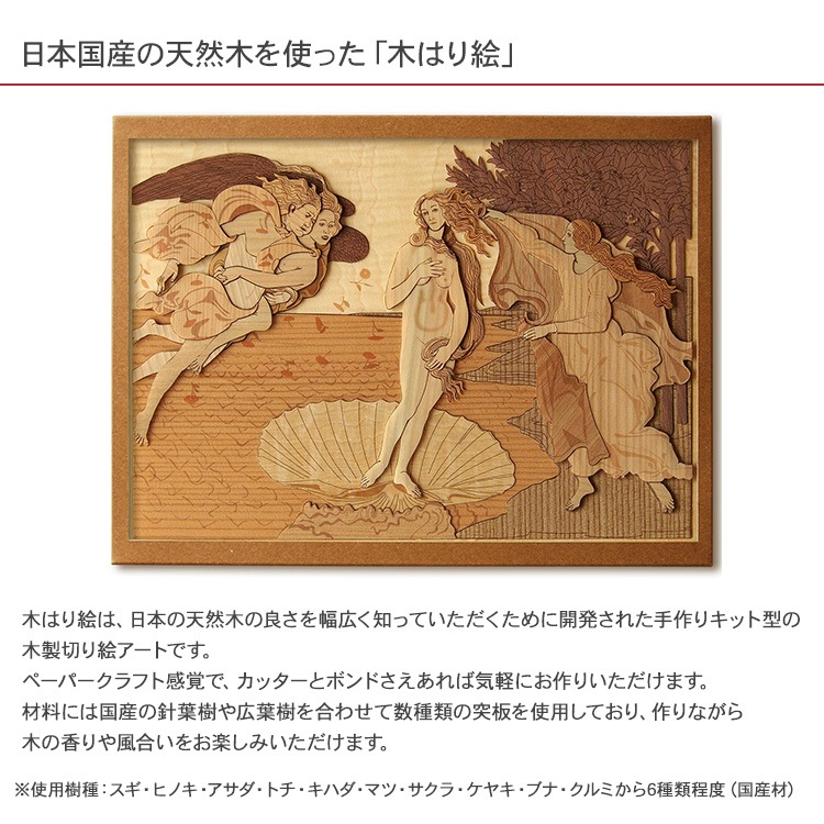 �ڤϤ골���ꥭ�åȡ֥������ʥ��������ס�  KFH-001