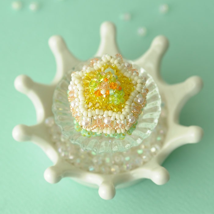 �ڥ��ե졦�ɥ������ȡ��ۥ����顦�ץƥ������ȥ��  �ڥӡ����ޥ˥���