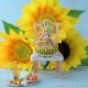 �ѡ��ƥ����ƥǥ��٥���Rosie��  �ں�ȡ�Miniera d��oro��