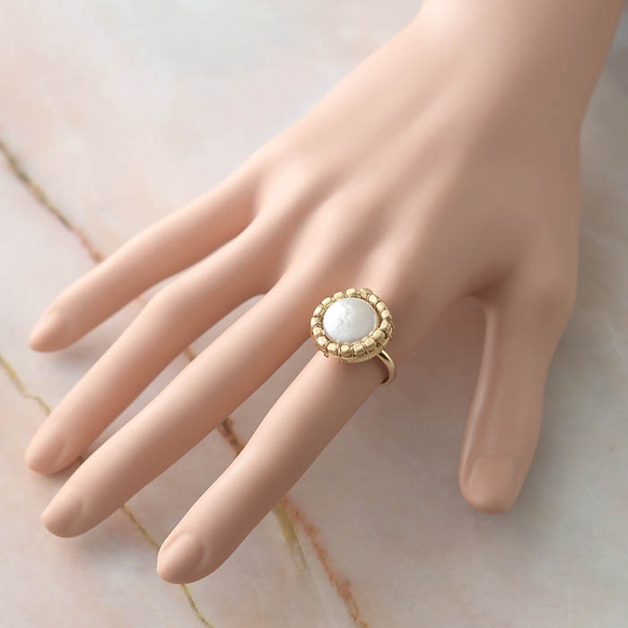 ø��ѡ�����᥿�르����ɥ��  �ں�ȡ���¼ƻ�ҡʥץ������󥹡ˡ�